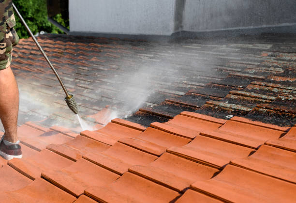 Best Roof Pressure Washing  in Pomona, CA